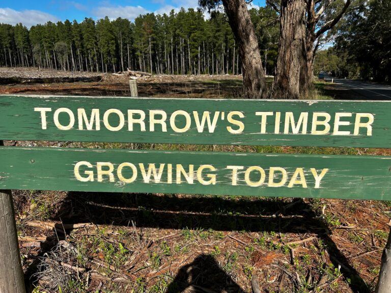TimberSmart Australia's Leading Software Solution